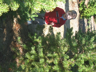 Christmas tree hunt