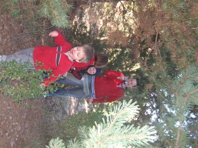 Christmas tree hunt