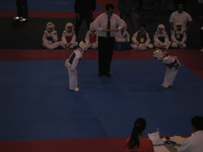 Tae Kwon Do Tournament - Allyndreth Sparring
