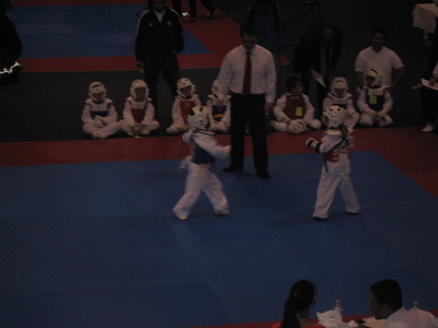 Tae Kwon Do Tournament - Allyndreth Sparring