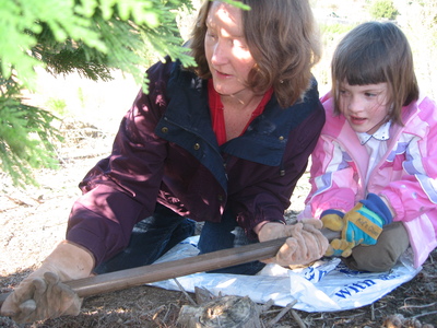 Christmas Tree Cutting