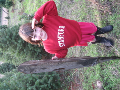 The Christmas Tree Hunt
