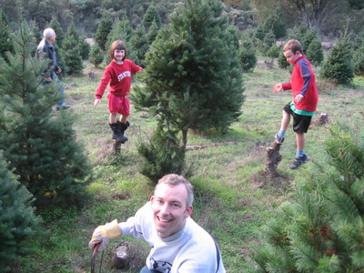 November 2008