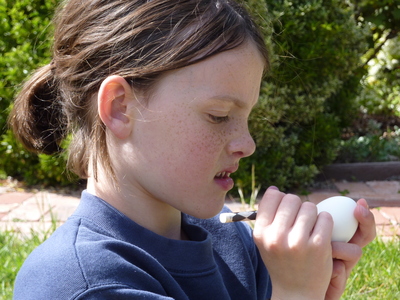 2010 Easter egg dyeing