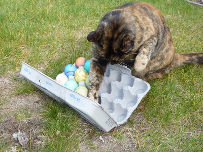2010 Easter egg dyeing