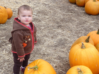 Pumpkin patch