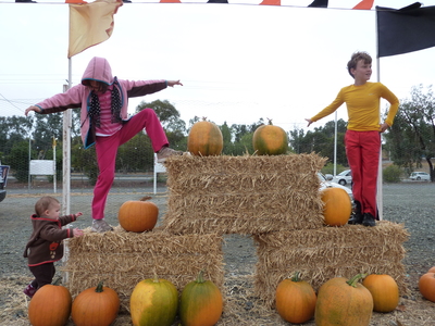 Pumpkin patch