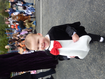 The Formally-Dressed Penguin parade spectator at the Happy Valley Halloween parade