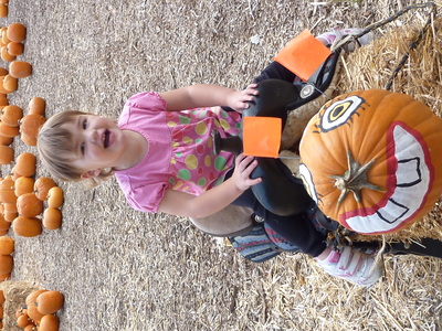 At the pumpkin patch