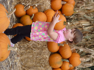 At the pumpkin patch