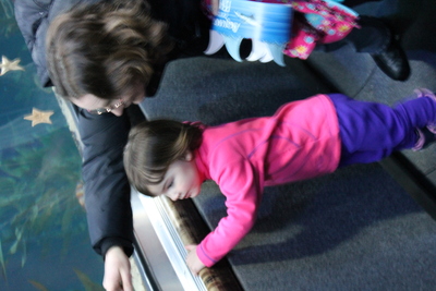 AMS early birthday celebration-Aquarium of the Bay