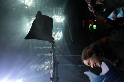 AMS early birthday celebration-Aquarium of the Bay