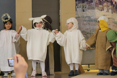 20121217.1251-IMG_2840-ERS_sheep_in_nativity