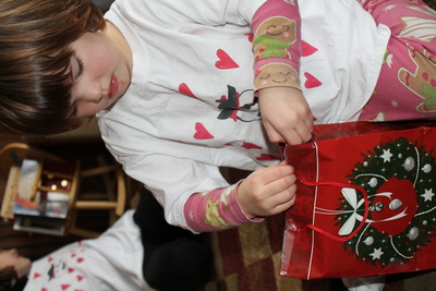 20121225.1241-IMG_3050-Christmas_day