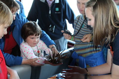 20130615.1353-IMG_6520-Ketchikan_crabbing