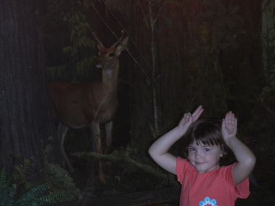 20130817.1102-DSCN2316-AMS_photo-NY_Museum_of_Natural_History_ERS