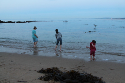 Monterey 2014
