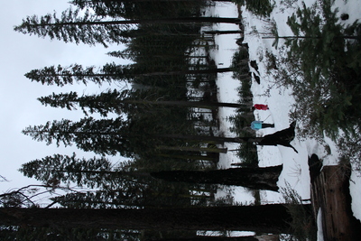 20140215.1735-IMG_9809-Yosemite_West_snowplay