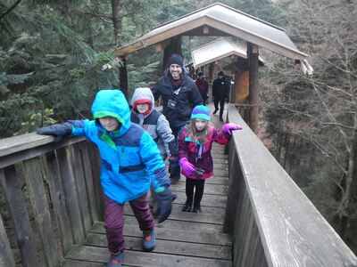 20161216.1404-DSCN3659-by_Guides-Kopfing_Tree_Path