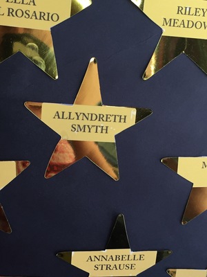 20170807.1114-Springbrook_shiny_star_wall-IMG_6163