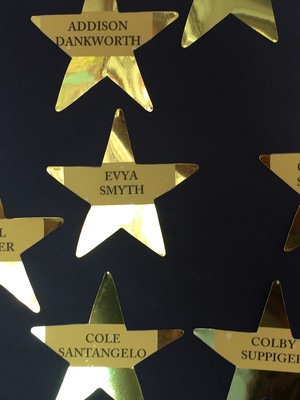 20170807.1114-Springbrook_shiny_star_wall-IMG_6168