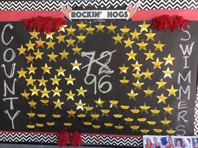 20170808.1114-Springbrook_shiny_star_wall-IMG_6176