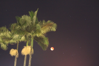 20180131.0644-IMG_3722-lunar_eclipse_from_San_Diego_by_MPS