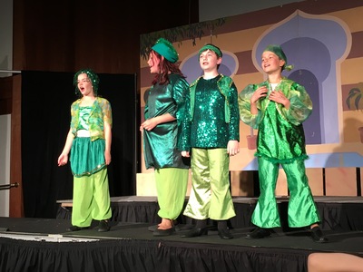 20180428.1527-IMG_3234-by_MPS-ERS_Aladdin