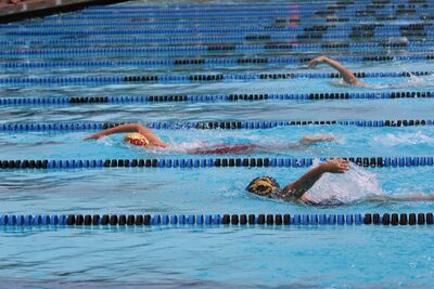 20180729-iarokREA-LSC_2018_by_Jenny_Shepherd-ERS_free_relay