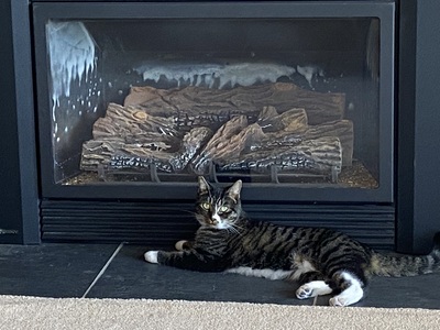 20201022.1212-IMG_1377-Grace_with_fireplace