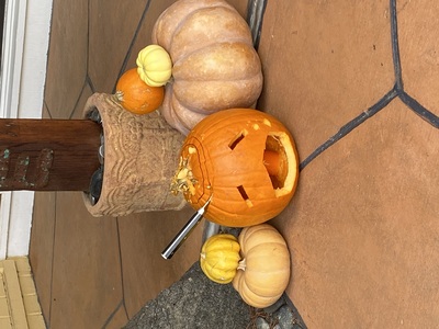 20211031_1224-IMG_5123-ERS_pumpkin_carving