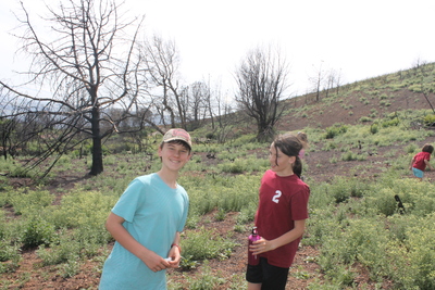 20140517.1428-IMG_1469-Family_Fire_follower_flowers_foray
