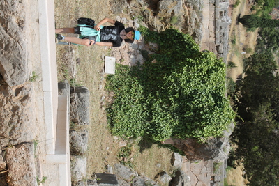 20150623.1200-IMG_6368-by_TAS-Delphi