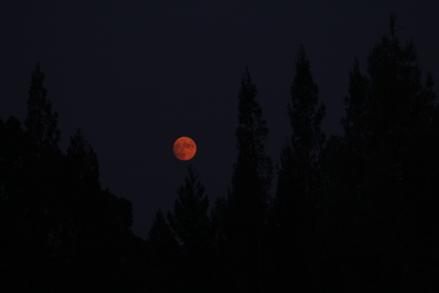 20200831.1905-IMG_1196-by_AMS-smoky_red_moon